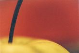 Apfel - Stillleben - Gegenstände - Details...