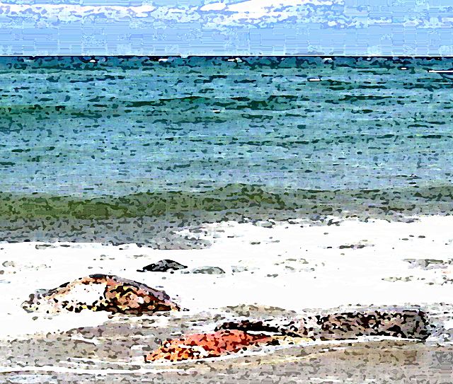Ostseebad Heiligendamm in Mecklenburg-Vorpommern - Kaiserbad - G8 Gipfel
