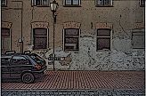 galerie-der-fotos.de - die-fotogalerie