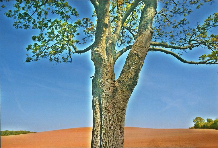 Lübberstorfer Landschaft - Mecklenburg Vorpommern