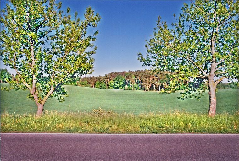 An der Landstra&szlig;e in Mecklenburg-Vorpommern