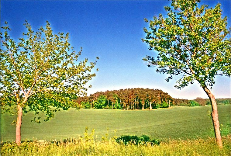 An der Landstra&szlig;e - Landschaft in Mecklenburg-Vorpommern