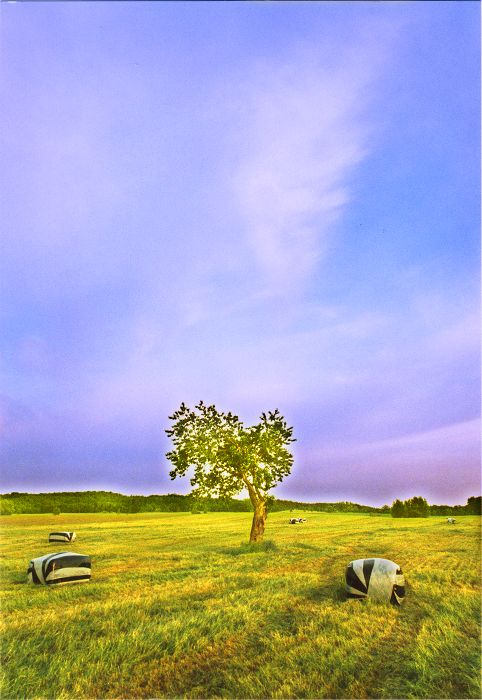 G&uuml;strow und Wismar - Landschaften in Mecklenburg Vorpommern