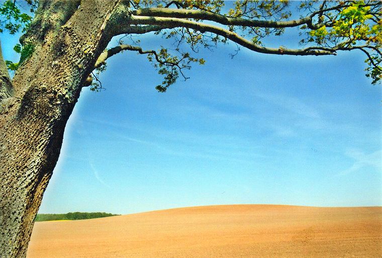 L&uuml;bberstorfer Landschaft - Mecklenburg-Vorpommern