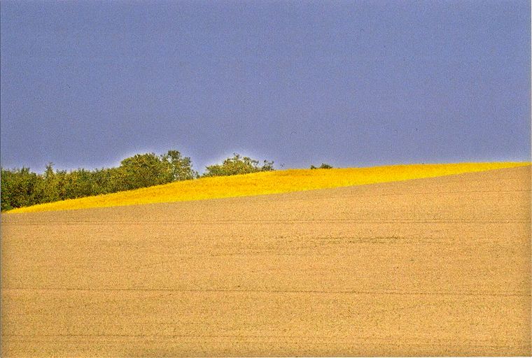 L&uuml;bberstorfer Landschaft in Mecklenburg-Vorpommern