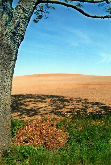 L&uuml;bberstorfer Landschaft in Mecklenburg-Vorpommern