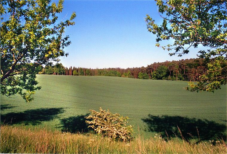 An der Landstra&szlig;e - Landschaft in Mecklenburg-Vorpommern