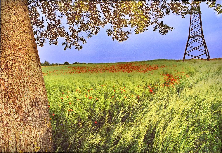 Auf dem Lande in Mecklenburg-Vorpommern