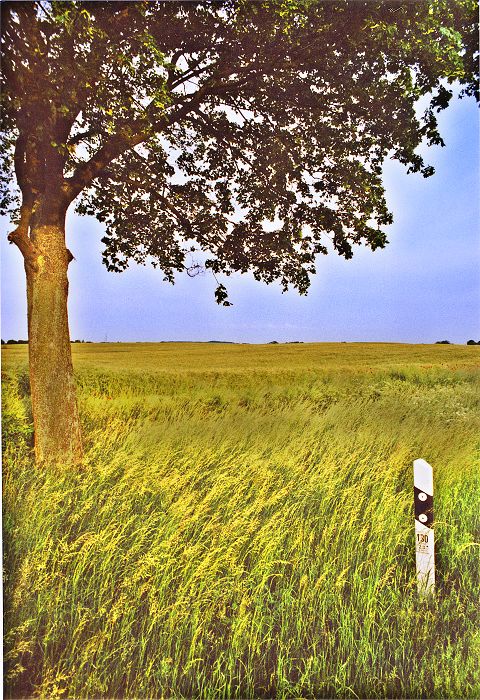 Baum und Acker - Landschaften in Mecklenburg Vorpommern