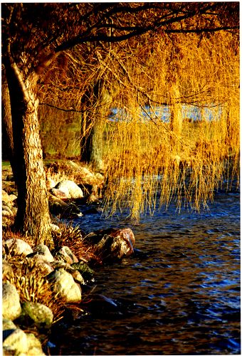 Küchensee in Ratzeburg