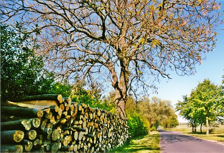 Werle Hof in Mistorf - Landschaft in Mecklenburg-Vorpommern