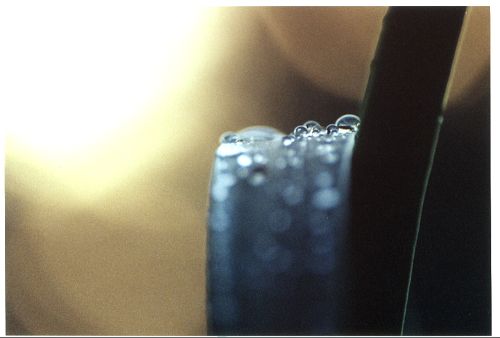 Sonnenuntergang - Halme