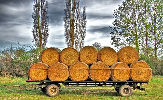 Heuwagen - Heuernte - G&uuml;strow in Mecklenburg