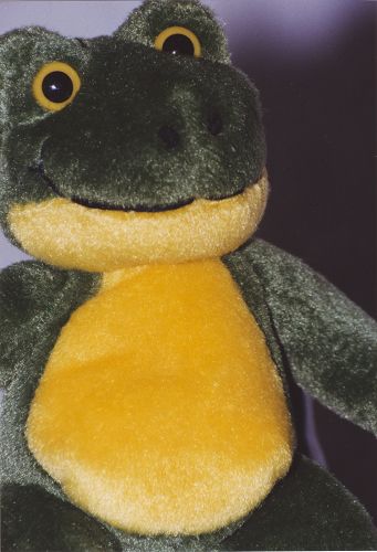 Frosch
