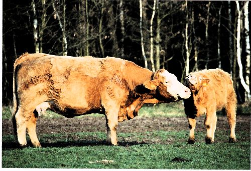 Mutter und Kind