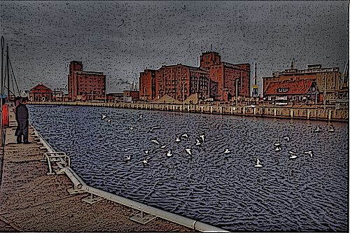 M&ouml;wen f&uuml;ttern im Alten Hafen - Wismar in Mecklenburg-Vorpommern - Alter Hafen